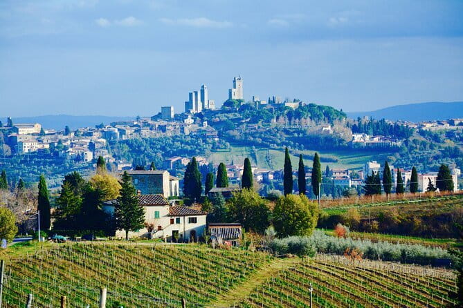 Private Tuscany Day Tour: San Gimignano and Chianti Wine Region from Florence - Chianti wine country, with room for personal choices