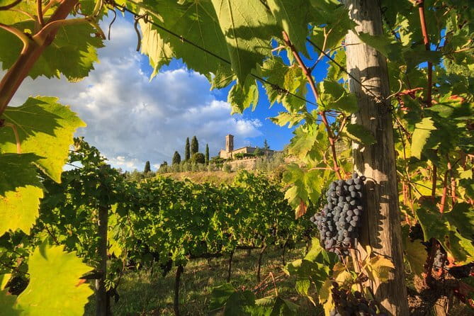Private Tuscany Tour from Florence Including Siena, San Gimignano and Chianti Wine Region - Key points to know before you book