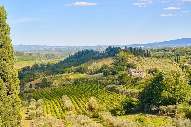 Private Tuscany Tour from Florence Including Siena, San Gimignano and Chianti Wine Region - Siena: medieval streets and Piazza del Campo