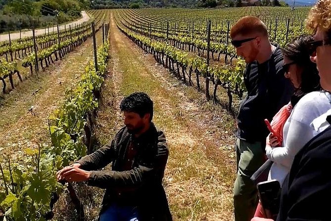 Private Wine Safari! Off-Road, Lunch in Winery in Tuscany! - What the five-person limit changes