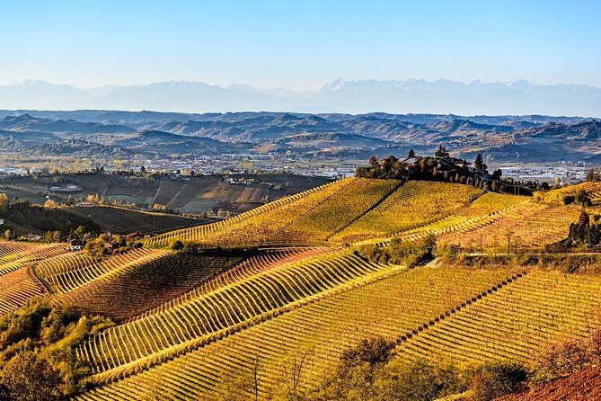 Radda in Chianti: Wine Tasting Tour with lunch at the Winery - Key points to know before booking