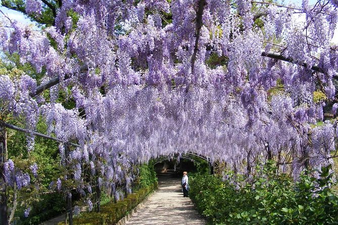 Royal Paths of Florence: Explore the Boboli Gardens - The Buontalenti Grotto and its theatrical details