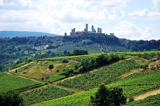 San Gimignano and Chianti Classico Wine and Food PRIVATE TOUR from Florence - Key points at a glance