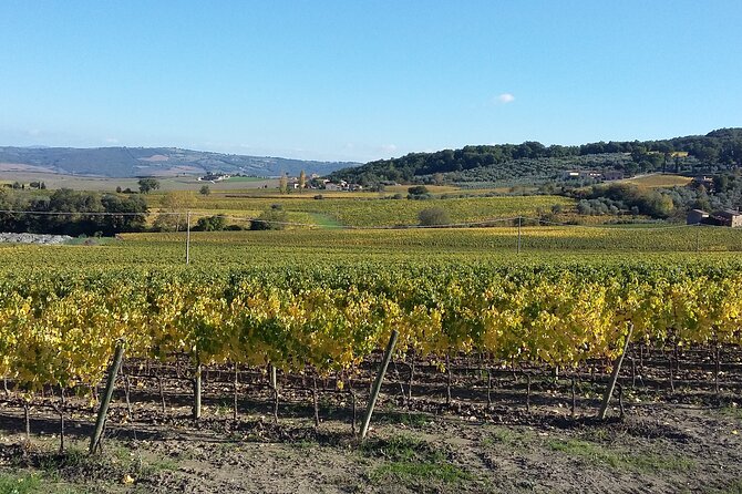 San Gimignano and Chianti tour - Should you book the San Gimignano and Chianti tour?