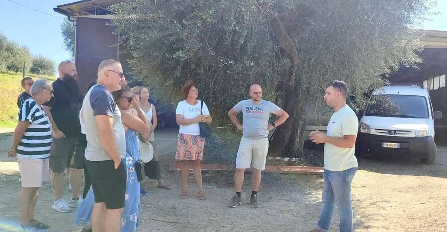Seggiano: Typical Tuscan Farm Tour with Olive Oil Tasting - The Tasting: Bread, Meats, and an Ice Cream Surprise