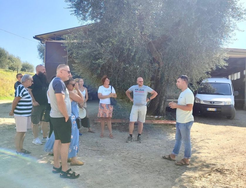 Seggiano: Typical Tuscan Farm Tour with Olive Oil Tasting - What the Guide Adds to the Visit