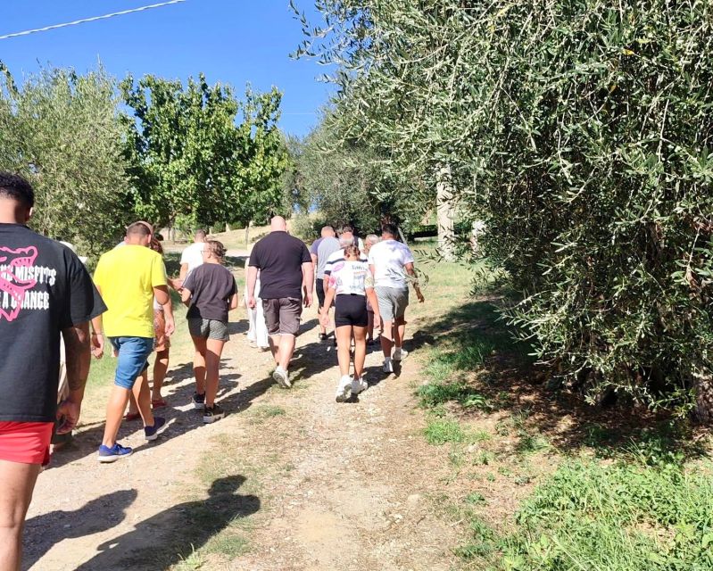 Seggiano: Typical Tuscan Farm Tour with Olive Oil Tasting - Practical Details Before You Book