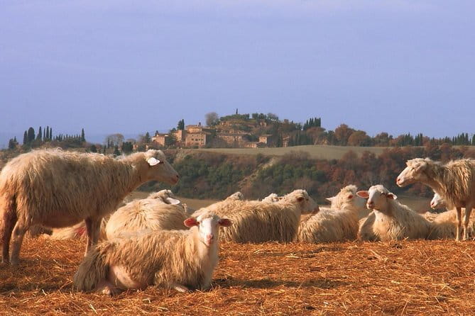 Semi-Private Gluten-Free Cooking Class in Florence - Meeting Chef Vary and Irene