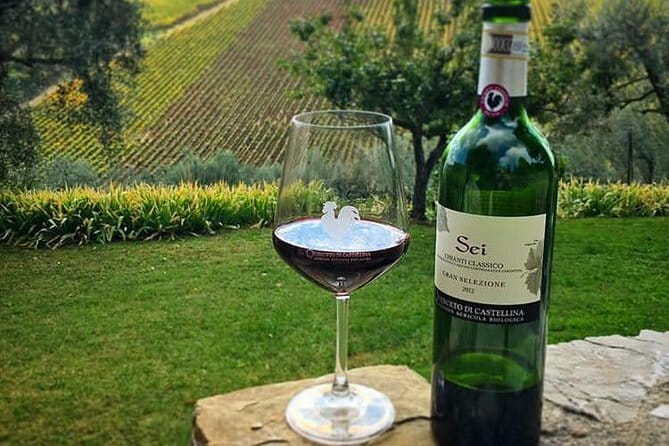 Siena and Chianti Wineries Excursion by Private Luxury Van from Florence - Key points to know before booking
