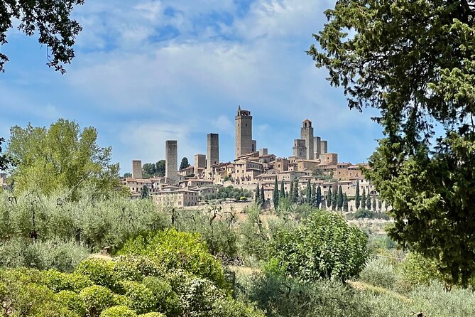 Siena and San Gimignano Tour from Florence - Who will get the most from this outing?