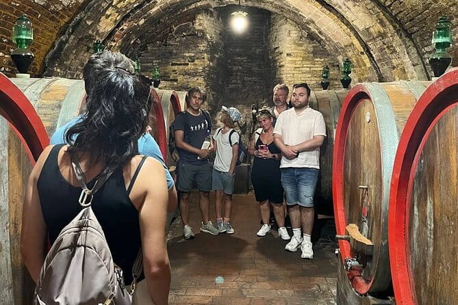 Siena, Cortona, Montepulciano & Val D'Orcia in a Small Group Tour - What this Florence to Tuscany day trip is really like