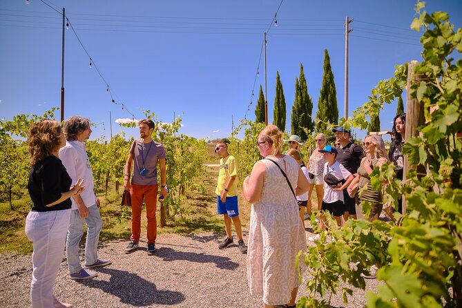 Siena, San Gimignano and Chianti Wines Day Tour from Florence - A short hour in San Gimignano
