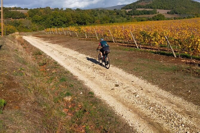 Sightseeing Tuscany by touring bike - 1 day rental - What sort of cyclist should book