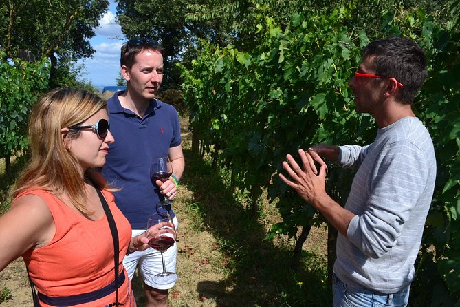 Small-Group Brunello Wine Tour of Montalcino from Florence - The Montalcino Stop Adds a Little Breathing Room