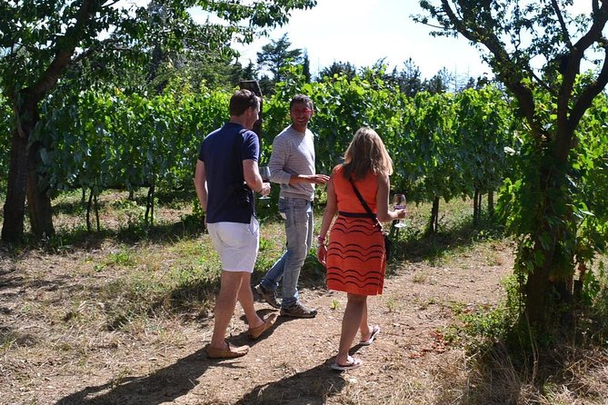 Small-Group Brunello Wine Tour of Montalcino from Florence - Who Will Enjoy This Tour Most