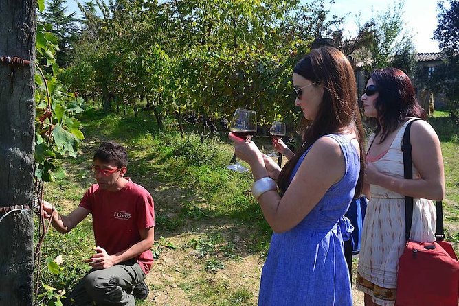 Small-Group Brunello Wine Tour of Montalcino from Florence - Second Winery: A Smaller Producer and Lunch