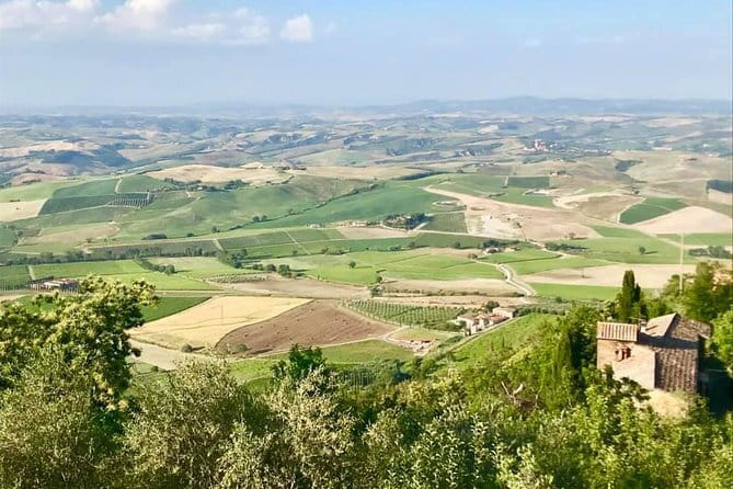 Small group Chianti-side wine tour with Mercedes V class Van - What the afternoon schedule really gives you