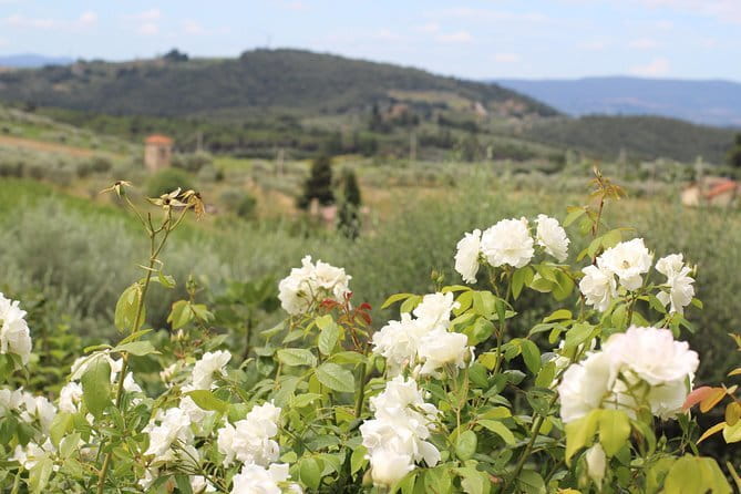 SMALL GROUP Chianti Tradition wine tour (max 8 pp) - Key points at a glance