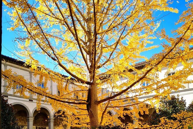 Small Group Medici and Michelangelo Tour in Florence - Ferragamo, Florence, and six centuries of change