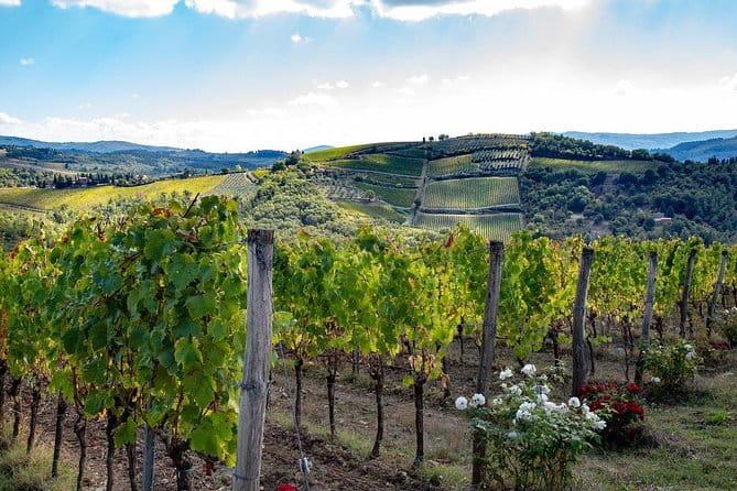 SMALL-GROUP Wine Safaris: Tuscan Wine Tasting Tours from Florence - Key points at a glance