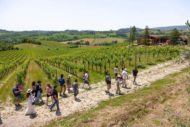 SMALL-GROUP Wine Safaris: Tuscan Wine Tasting Tours from Florence - Guides, drivers, and the group atmosphere