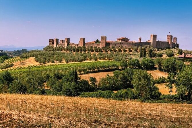 Special Chianti Afternoon Wine Tour from Florence - Who will enjoy this afternoon tour?