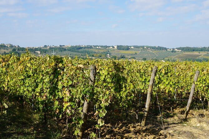 Super Chianti 2 wineries & meat feast @ Dario Cecchini—max 8 pp - Casa Erta and the first taste of working Tuscany