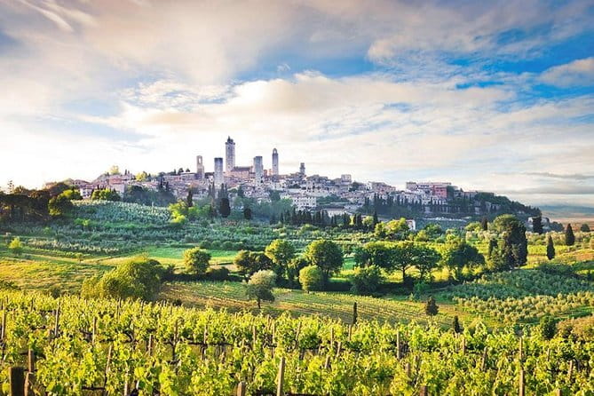 The Best of Tuscany: Private Full Day Tour From Florence - San Gimignano, a town of medieval towers