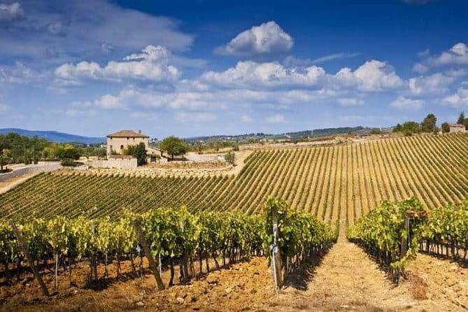 The Complete Wine Tour Brunello, Nobile, Chianti wine experience - Three Tuscan wines, one very full day