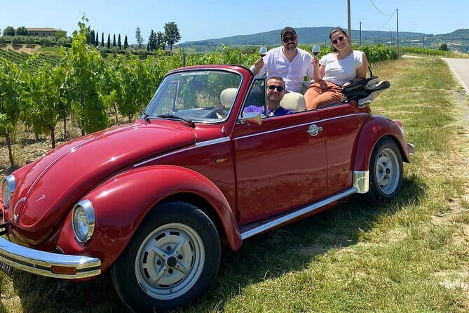The Complete Wine Tour Brunello, Nobile, Chianti wine experience - Lunch in Montepulciano, paid separately