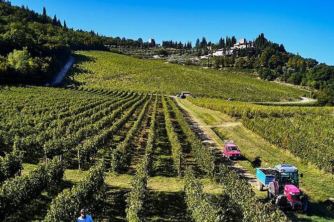 The Essence of Tuscany: Private Journey & Estate Winery Lunch - Leaving Florence for the Chianti Hills