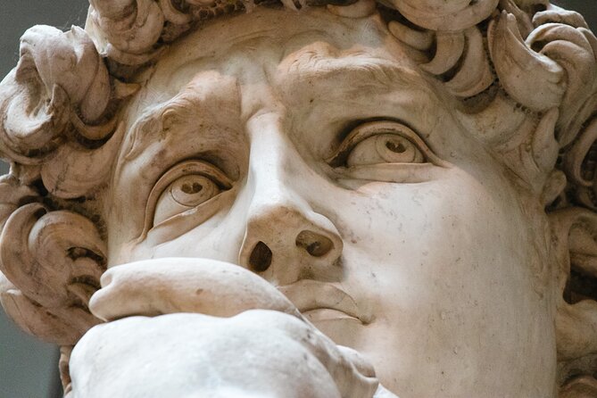 The Medici family and the Renaissance with a local art historian - Key points to know before you book