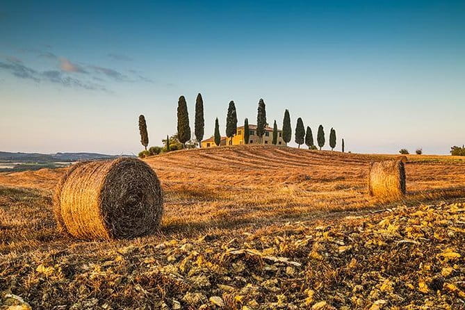 Tipsy Tour: Guided Bar Crawl In Florence with Dark History - The guide matters more than the bar list