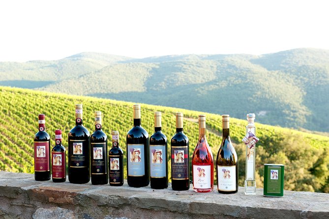 Tour and Tasting at an Organic Winery in the Heart of Chianti Classico Area - Key things to know before you book