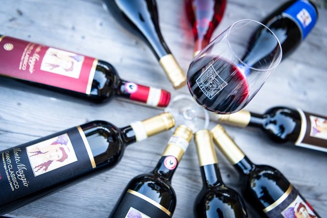 Tour and Tasting at an Organic Winery in the Heart of Chianti Classico Area - A working winery in the heart of Chianti Classico