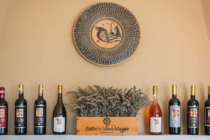 Tour and Tasting at an Organic Winery in the Heart of Chianti Classico Area - The remote road is the main practical issue