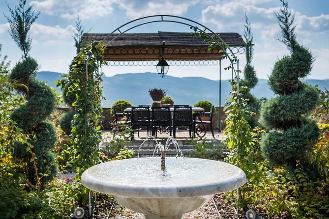 Tour and Tasting at an Organic Winery in the Heart of Chianti Classico Area - Is the $48.36 price good value?