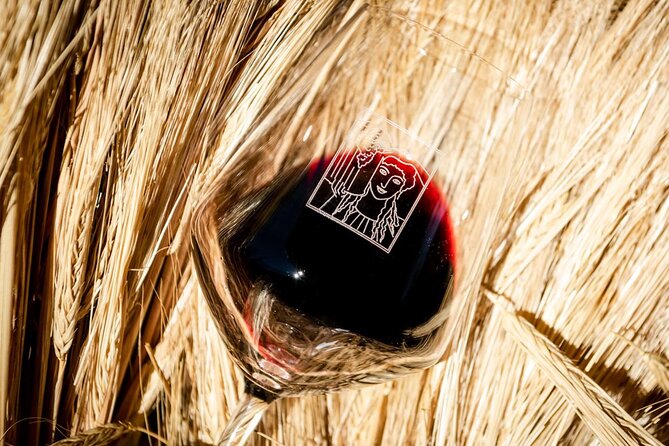 Tour and Tasting at an Organic Winery in the Heart of Chianti Classico Area - Who will enjoy this Montemaggio visit?