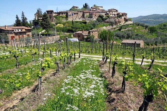 Tour of Chianti for small groups departing from Florence or surroundings - Key points to know before booking