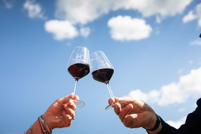 Triumph of Flavors, Winery Tour, Organic Wines in Panzano in Chianti - Panzanello Winery and the Panzano Setting