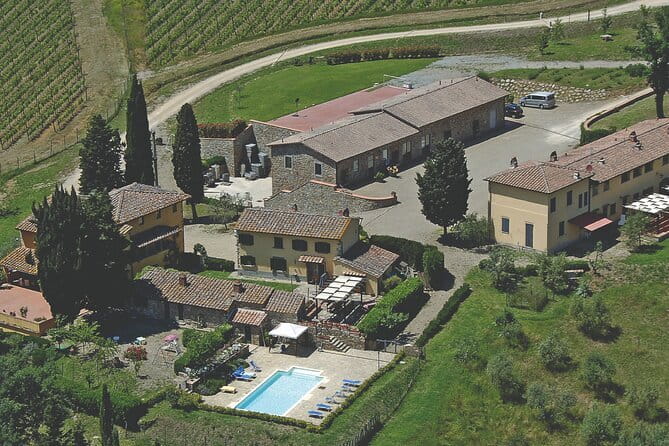 Triumph of Flavors, Winery Tour, Organic Wines in Panzano in Chianti - Organic Wine in Chianti Classico