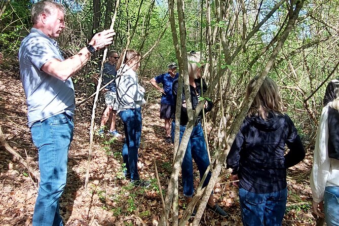 Truffle Hunting in Chianti, pasta class and lunch - A truffle hunt in the woods of Chianti