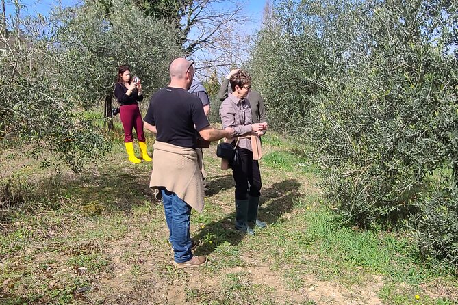 Truffle Hunting in Chianti, pasta class and lunch - Is $191.72 a fair price?
