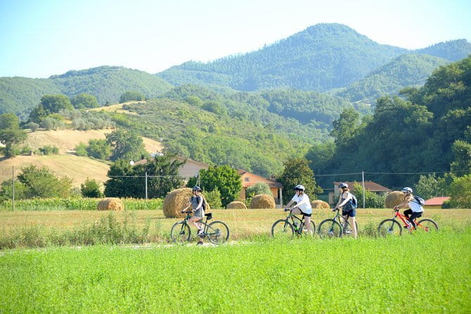 Tuscan countryside bike tour and food tasting - Starting in Vicchio beside the lake