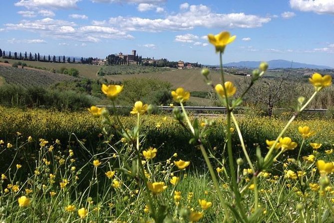 Tuscany Bike Tours Through the Chianti Hills with Wine Tasting - The optional hill and support van