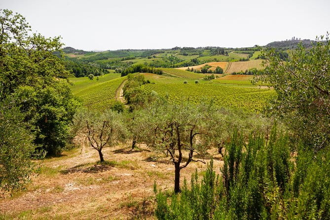 Tuscany Day Trip from Florence: Siena, San Gimignano, Pisa and Lunch at a Winery - Starting at Santa Maria Novella Station