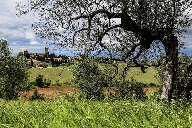 Tuscany E-Bike Tour: from Florence to Chianti with lunch and tastings - Who should book this Tuscany e-bike tour?