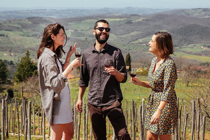 Tuscany EXCLUSIVE Private Day Trip from Florence by Car with Wine - Piazzale Michelangelo gives you the Florence view