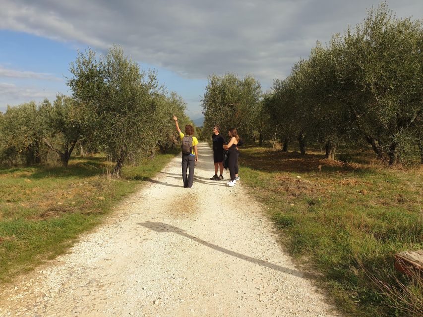 Tuscany Hills Bike Tour with Lunch at farm and Wine Tasting - Who should book this Chianti bike tour