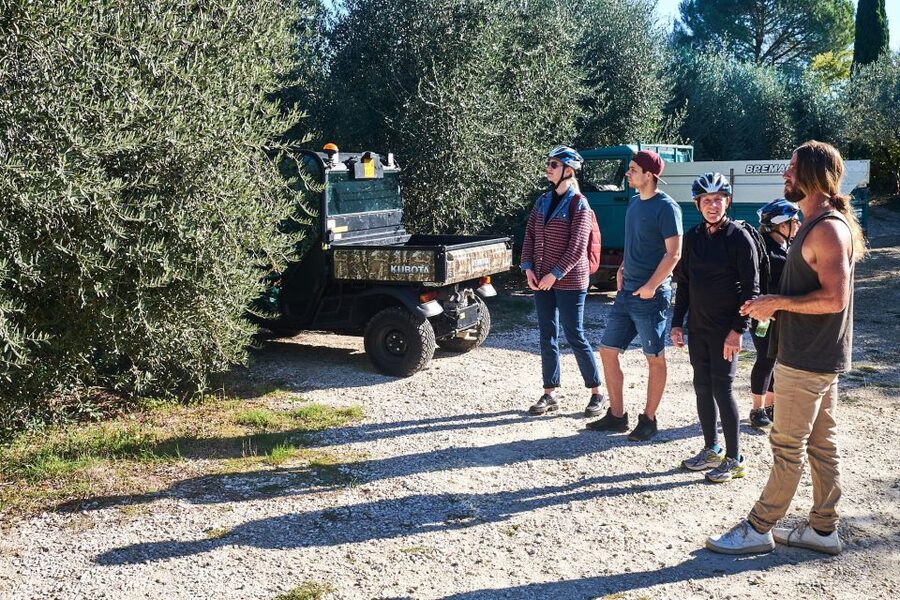 Tuscany Hills Bike Tour with Lunch at farm and Wine Tasting - What the €73.07 price really gives you